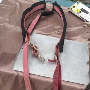 Pink and Black Horse Halter
